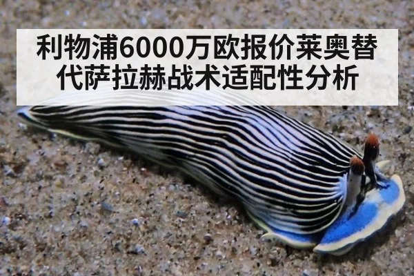 利物浦6000万欧报价莱奥替代萨拉赫战术适配性分析